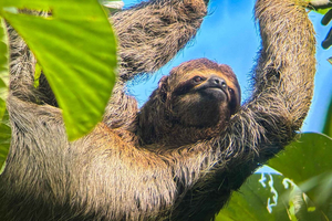 Nationaal Park Manuel Antonio: Privé natuurbelevenis