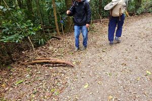 Monteverde: Cloud Forest Night Tour with Pablo