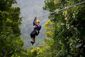 Monteverde: Tirolina en la selva y columpio de Tarzán con traslado