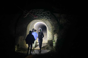 Monteverde: Zipline & Jungle Night Walk