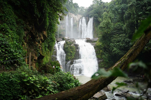 Nauyaca Waterfall: 4x4 Access, Jungle Swim & Lunch