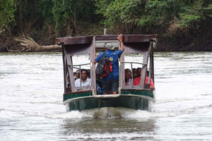 Palo Verde: Tempisque River Wildlife Safari mit Mittagessen