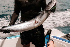 Playa Flamingo: All-Day Spearfishing Adventure with Lunch