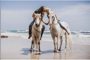Privat etisk ridetur og spamassasje, Costa Rica