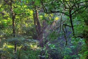 Parco nazionale di Diria: tour privato, escursioni e natura