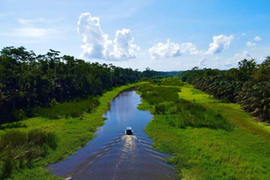 Puerto Limón: tour 6 in 1 della città, del canale, delle banane e di Westfalia