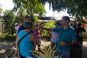 Puerto Limon: tour di mezza giornata dei canali di Tortuguero e di Playa Bonita