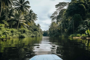 Puerto Limón: Tour in barca dei canali di Tortuguero e del giardino di Maratopia