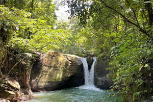 Quepos: Tour mit Wasserfällen, Stränden und Souvenirs mit Mittagessen