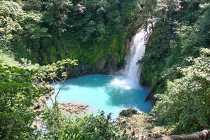 Río Celeste, Sloths, Coffee, Chocolate and Sugarcane