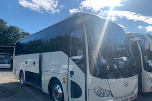 Riu Guanacaste: Private Transfer from/to Liberia Airport