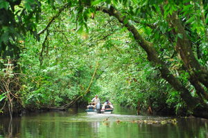 San Jose: Tortuguero Park Tagestour mit Frühstück und Mittagessen