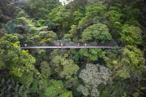 San José: Waterfall, Hanging Bridges & Hot Springs Tour