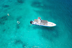 Santa Teresa: Tur till Isla Tortuga, snorkling och utsökt lunch