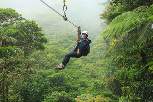 Selvatura Gold Experience