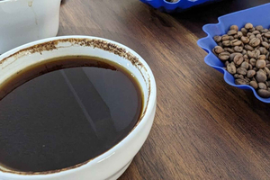 Specialty Coffee Cupping in San José