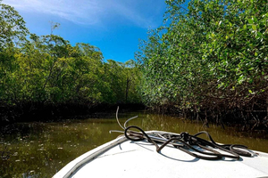 Tamarindo: Estuary Boat Safari