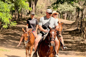 Tamarindo: Jungle and Beach Ethical Horseback Ride