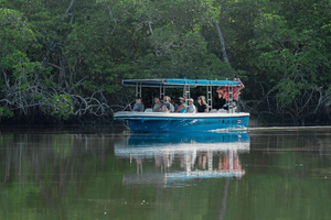 Tamarindo: Las Baulas Marine Park, Mangroves, and Nature Boat Tour
