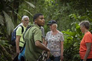 Tortuguero Full-Day: canais ao amanhecer, caminhada e passeio noturno