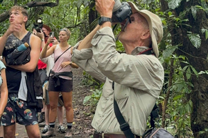Tortuguero: History, culture, and a nature walk to discover the wildlife