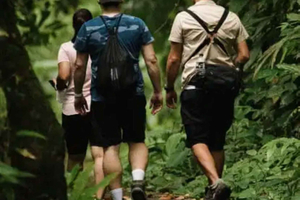 Tortuguero: Jaguar and El Gavilán Trails walk