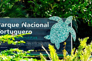 Tortuguero National Park: Best Things to Do in Tortuguero
