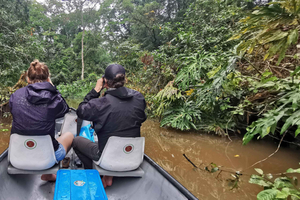 Tortuguero nasjonalpark: Utflukt med elektrisk motorbåt på fransk