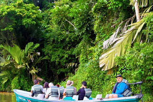 Tortuguero Trilogy: Wildlife, Meals, Guide & Park Entry