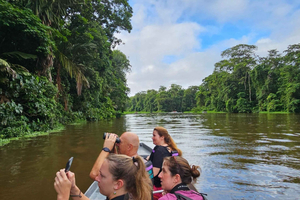 Tortuguero: 