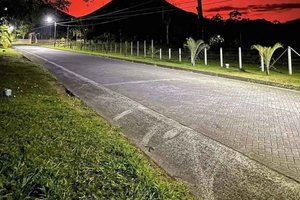 Transfer and full-day tour of La Fortuna and the Arenal Volcano