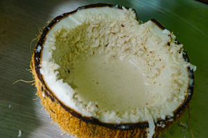 Uvita: Kokosnøtttur med guide