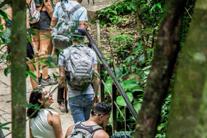 Volcano Hike, Waterfall & Hot Springs on Rincon de la Vieja
