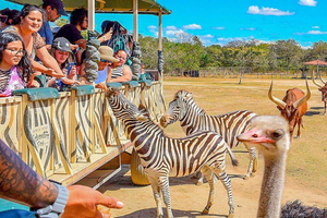 En dag i naturen: Dyr og eventyr – safari fra San José