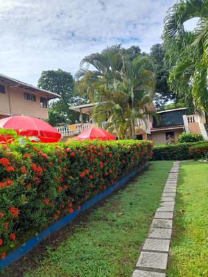1. House of the Macaws