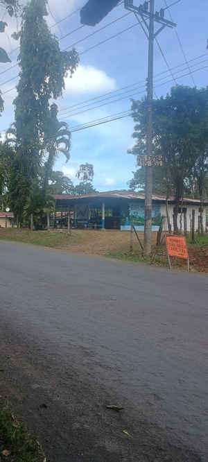 Bar Mi Tierra