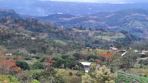 Bella Vista Ranch