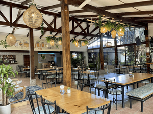 Cactus Beer Garden by Dirigo Fermentory