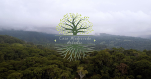 Casa Madreveda Holistic