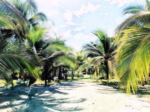 Casber Beach Club