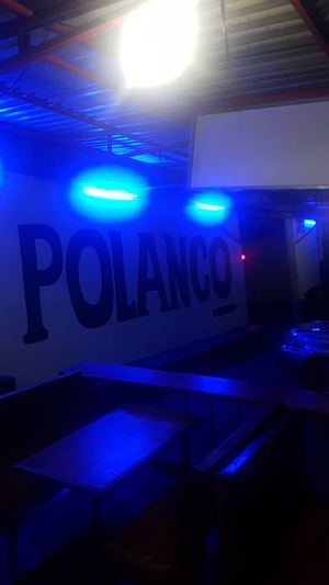 Club Nocturno Polanco