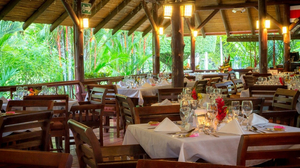 Crocodile Grill & Bar