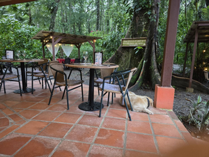 El Refugio Grill
