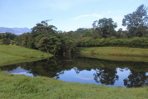 El Refugio