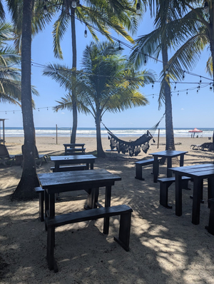 Encantada Bistro & Bar
