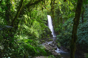 Au départ de San Jose : Visite du jardin des chutes d'eau et de la forêt tropicale de La Paz