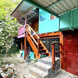 Hidden Jungle Beach House