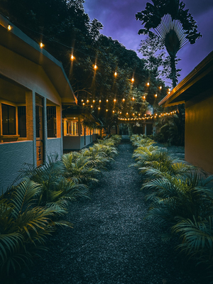 Iguana Villas