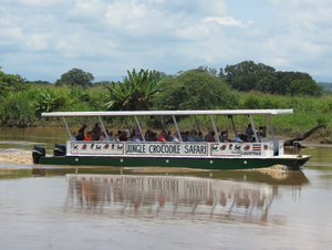 Jungle Crocodile Safari & Bird Watching Tour/ Tarcoles River CR
