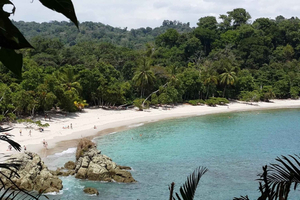 Circuit combiné du parc national Manuel Antonio au départ de San José